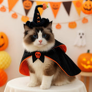 Pet Hair Knit Pumpkin Wizard Hat for Small Dogs and Cats, Halloween Pet Costume, Dog and Cat Hat - QueensalesOF