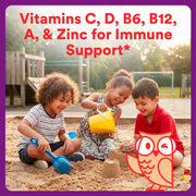 SmartyPants Kids Plus Multi & Immunity Multivitamin Gummies with Vitamins C, D, B6, B12, A, Zinc, Biotin, Iodine, Gluten Free, Clean Label, Two Fruit Flavors, 60 Gummies (30 Day Supply) - QueensalesOF