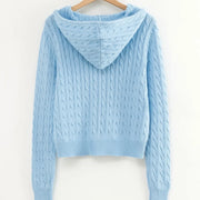 Long sleeve top korean fashion cropped cardigans women knit sweaters zipper up cute cardigan preppy style hooded sweater Autumn - QueensalesOF