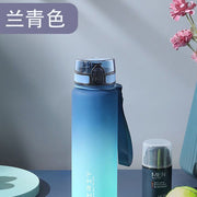 Sports Water Cup for Boys 2025 New Summer Portable High Temperature Resistant Fitness Pot Student Outdoor Large Capacity Water Cup - QueensalesOF
