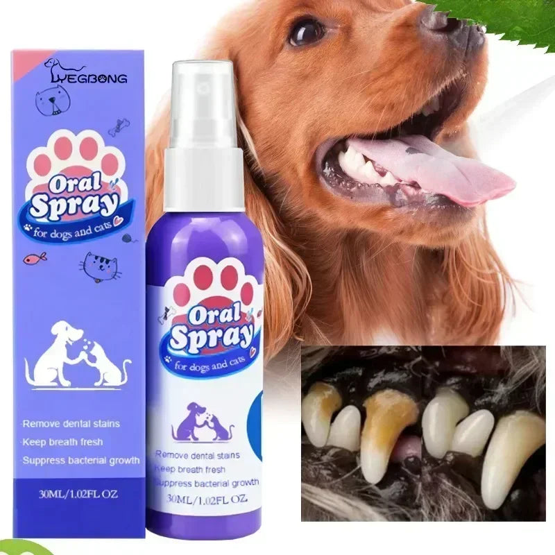 Pet Teeth Cleaning Spray Oral Care Remove Tooth Stains Keep Fresh Breath for Cats and Dogs Whitening Remove bad breath - QueensalesOF