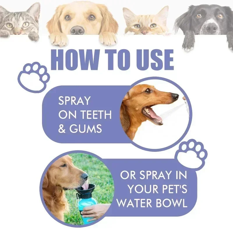 Pet Teeth Cleaning Spray Oral Care Remove Tooth Stains Keep Fresh Breath for Cats and Dogs Whitening Remove bad breath - QueensalesOF