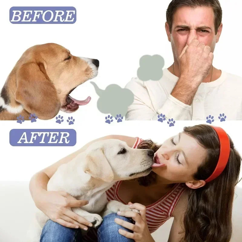 Pet Teeth Cleaning Spray Oral Care Remove Tooth Stains Keep Fresh Breath for Cats and Dogs Whitening Remove bad breath - QueensalesOF