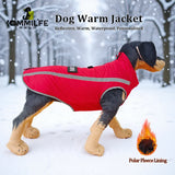 Warm Fleece Dog clothes Personalized Waterproof Winter Clothes for Small Medium Large Dogs Pet Clothing Jackets Dog Accessories - QueensalesOF