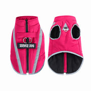 Warm Fleece Dog clothes Personalized Waterproof Winter Clothes for Small Medium Large Dogs Pet Clothing Jackets Dog Accessories - QueensalesOF