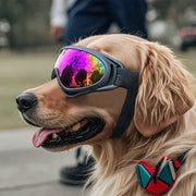 Pet Goggles Adjustable Anti UV Glare Windproof Sunglasses for Dogs Outdoor Hiking Running Beach All Breeds Eye Protection Black - QueensalesOF