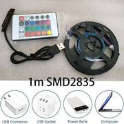 1m USB LED Strip Lights 60LEDs/m RGB Tape SMD 2835 With Remote Control Flexible Tape Diode Ribbon TV Backlight Room Decor - QueensalesOF