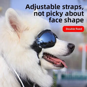 Pet Goggles Adjustable Anti UV Glare Windproof Sunglasses for Dogs Outdoor Hiking Running Beach All Breeds Eye Protection Black - QueensalesOF