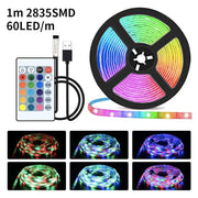 1m USB LED Strip Lights 60LEDs/m RGB Tape SMD 2835 With Remote Control Flexible Tape Diode Ribbon TV Backlight Room Decor - QueensalesOF