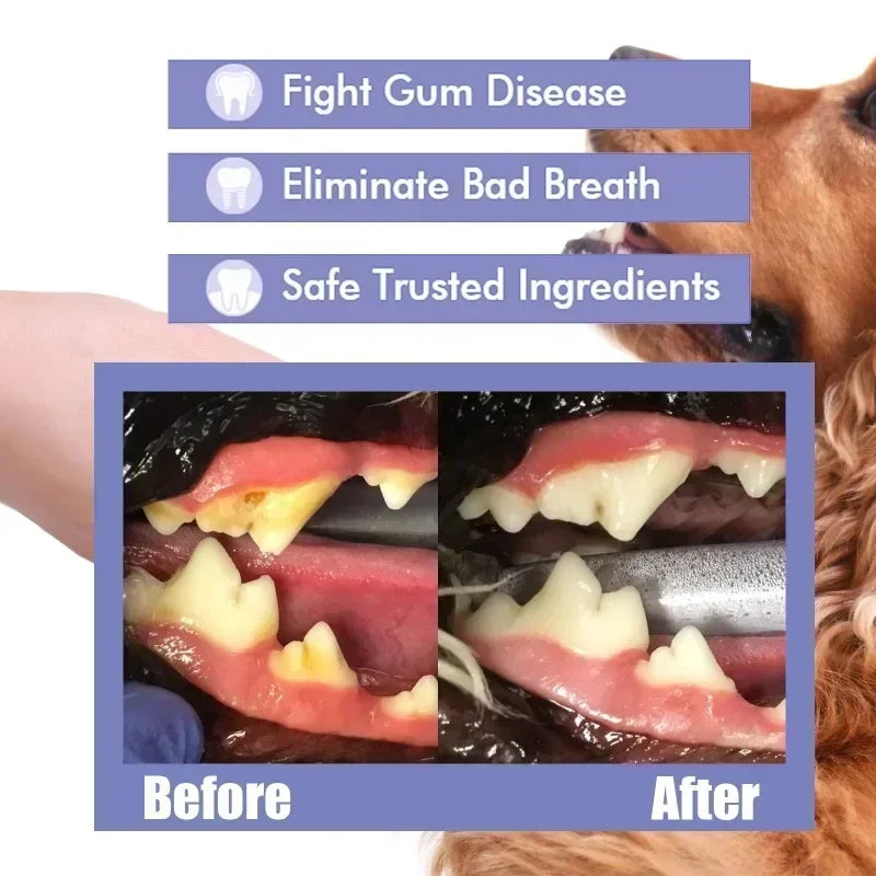 Pet Teeth Cleaning Spray Oral Care Remove Tooth Stains Keep Fresh Breath for Cats and Dogs Whitening Remove bad breath - QueensalesOF