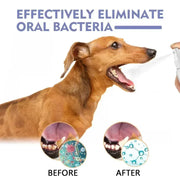Pet Teeth Cleaning Spray Oral Care Remove Tooth Stains Keep Fresh Breath for Cats and Dogs Whitening Remove bad breath - QueensalesOF