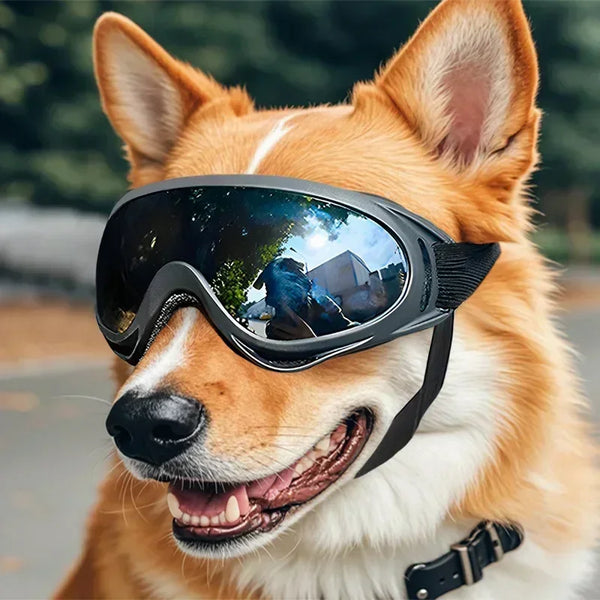 Pet Goggles Adjustable Anti UV Glare Windproof Sunglasses for Dogs Outdoor Hiking Running Beach All Breeds Eye Protection Black - QueensalesOF