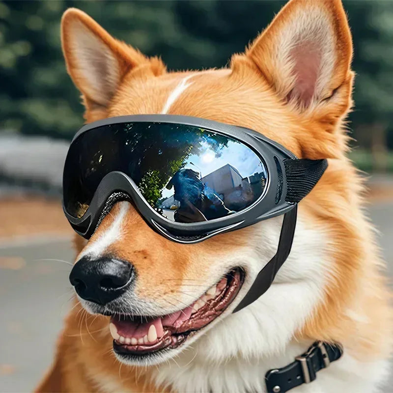 Pet Goggles Adjustable Anti UV Glare Windproof Sunglasses for Dogs Outdoor Hiking Running Beach All Breeds Eye Protection Black - QueensalesOF