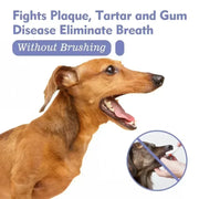 Pet Teeth Cleaning Spray Oral Care Remove Tooth Stains Keep Fresh Breath for Cats and Dogs Whitening Remove bad breath - QueensalesOF
